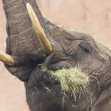 选手专访